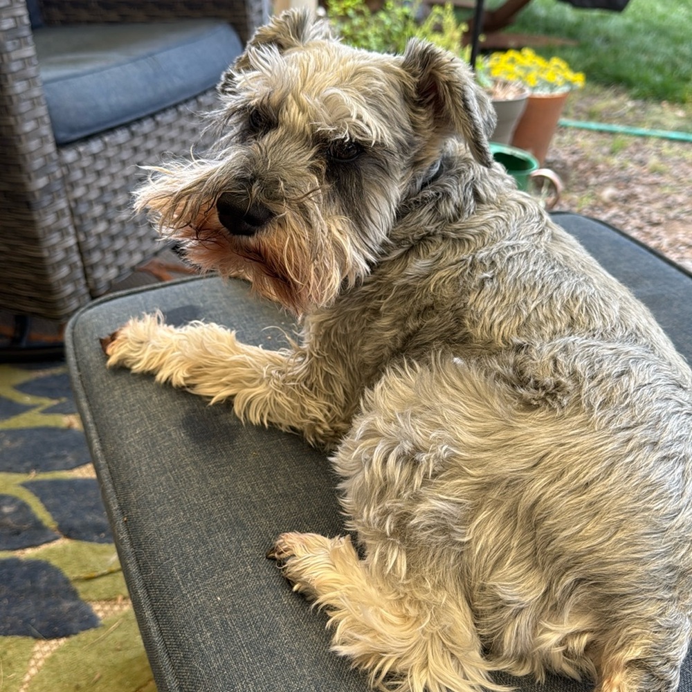 Meet your Posher, Brandy